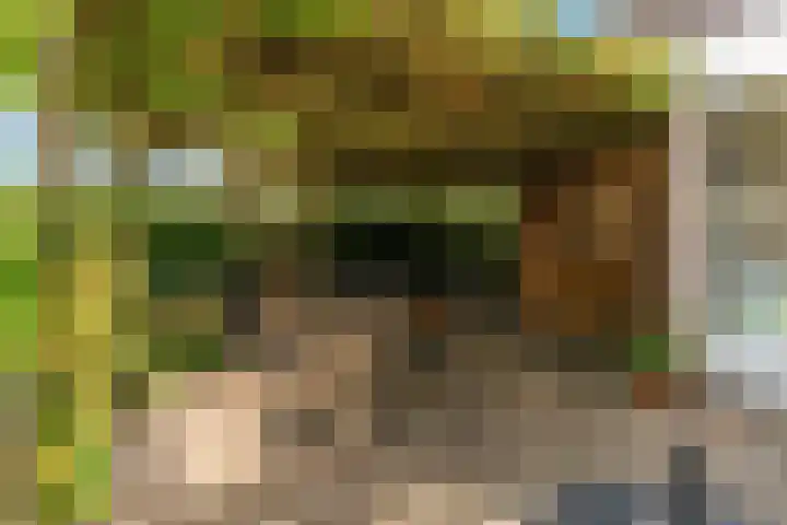 Morschweg 23 Wervershoof thumbnail 48
