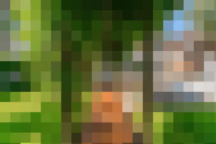 Morschweg 23 Wervershoof thumbnail 49