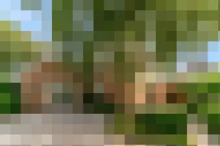 Morschweg 23 Wervershoof thumbnail 5