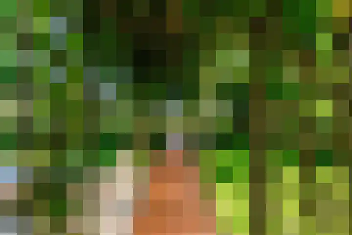 Morschweg 23 Wervershoof thumbnail 50