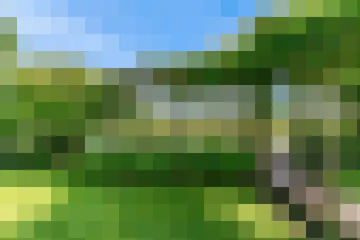 Morschweg 23 Wervershoof thumbnail 51