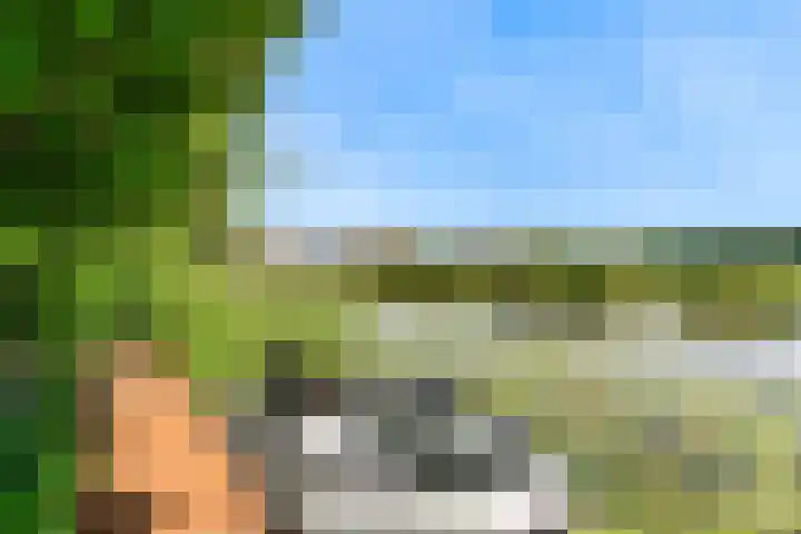 Morschweg 23 Wervershoof thumbnail 52