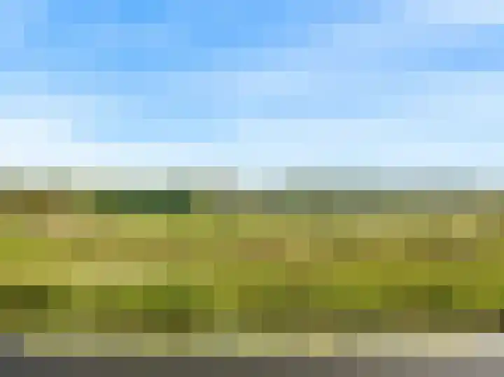 Morschweg 23 Wervershoof thumbnail 53
