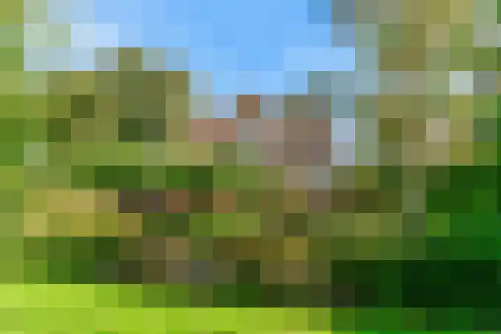 Morschweg 23 Wervershoof thumbnail 54