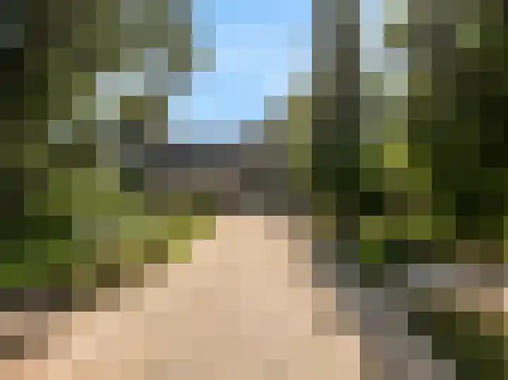 Morschweg 23 Wervershoof thumbnail 56