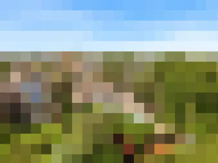 Morschweg 23 Wervershoof thumbnail 57