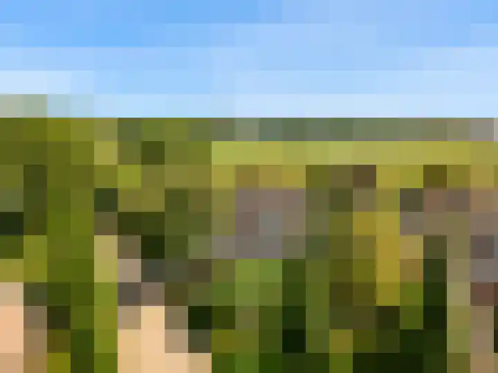 Morschweg 23 Wervershoof thumbnail 58