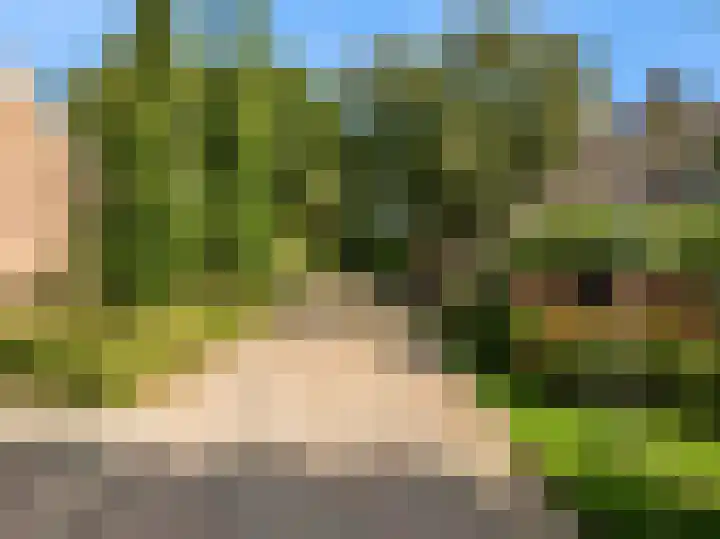 Morschweg 23 Wervershoof thumbnail 59