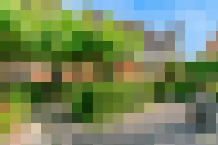 Morschweg 23 Wervershoof thumbnail 7