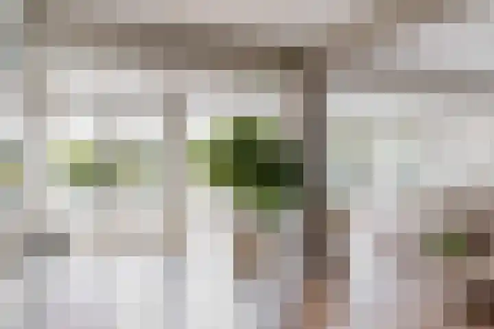 Morschweg 23 Wervershoof thumbnail 9