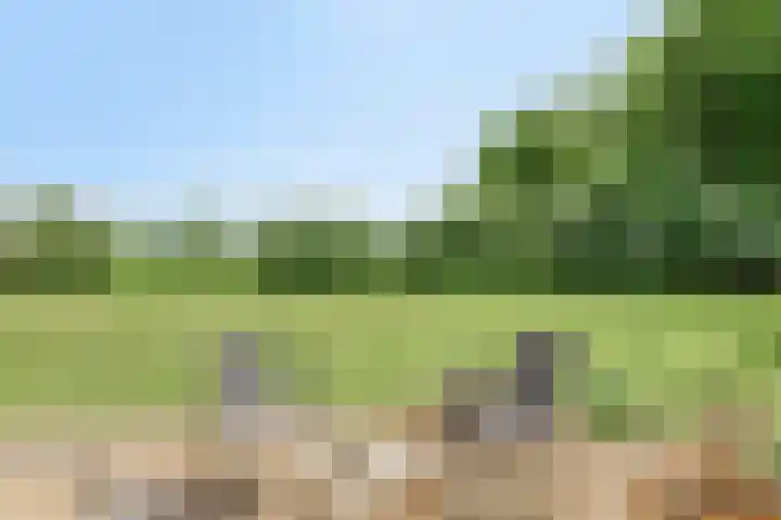 Morsdijk 2 Ruurlo thumbnail 10