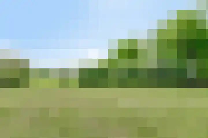Morsdijk 2 Ruurlo thumbnail 11