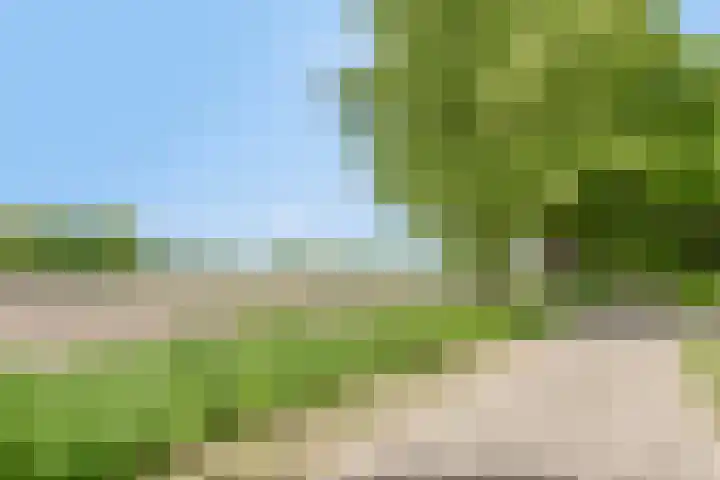 Morsdijk 2 Ruurlo thumbnail 12