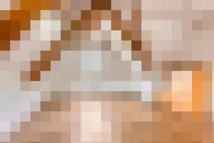 Morsdijk 2 Ruurlo thumbnail 37
