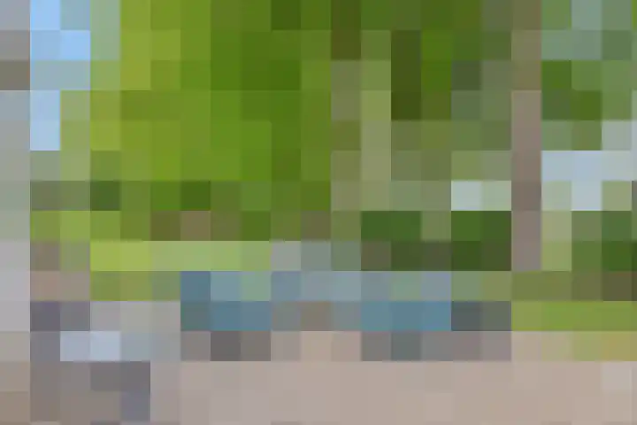 Morsdijk 2 Ruurlo thumbnail 38