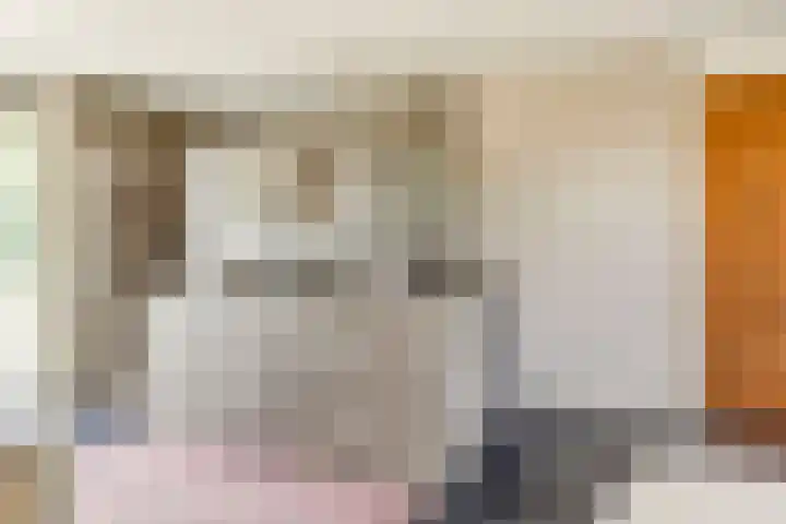 Morsdijk 2 Ruurlo thumbnail 4