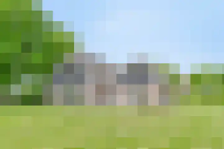 Morsdijk 2 Ruurlo thumbnail 41