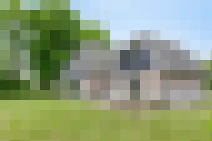Morsdijk 2 Ruurlo thumbnail 6