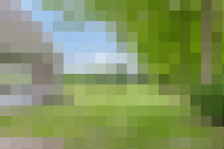 Morsdijk 2 Ruurlo thumbnail 9