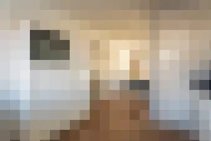 Morsebellaan 70 Oegstgeest thumbnail 12