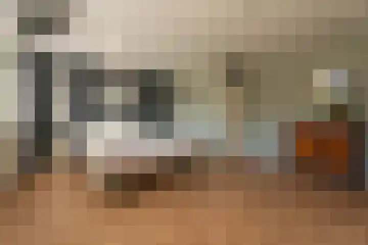 Morsebellaan 70 Oegstgeest thumbnail 15