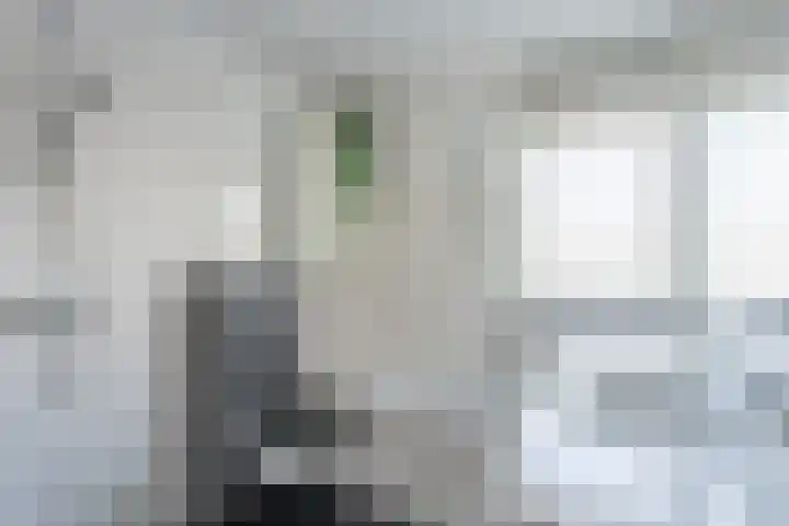 Morsebellaan 70 Oegstgeest thumbnail 19