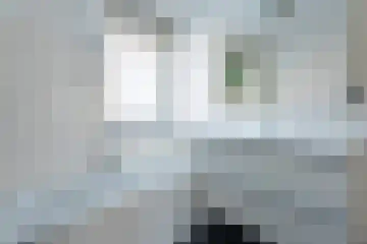 Morsebellaan 70 Oegstgeest thumbnail 20