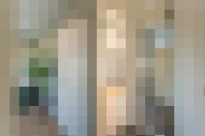 Morsebellaan 70 Oegstgeest thumbnail 22
