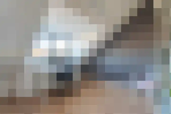 Morsebellaan 70 Oegstgeest thumbnail 25