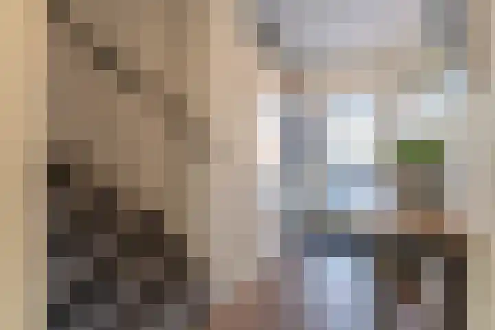 Morsebellaan 70 Oegstgeest thumbnail 29