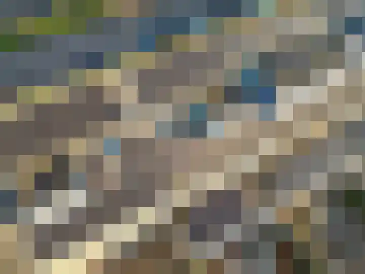 Morsebellaan 70 Oegstgeest thumbnail 40