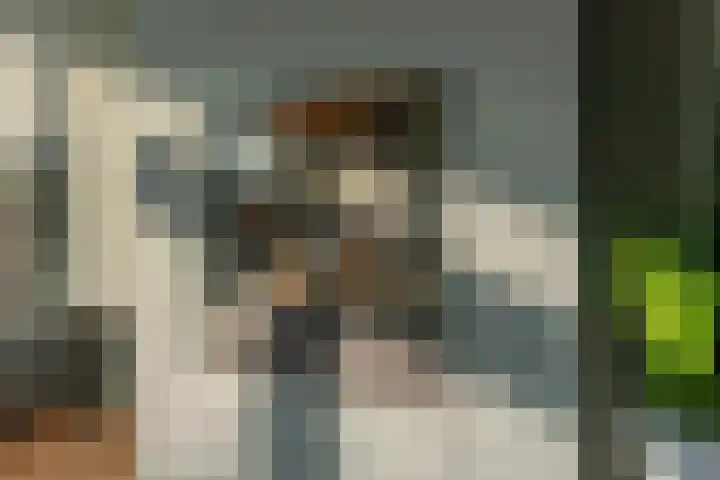 Morsebellaan 70 Oegstgeest thumbnail 5