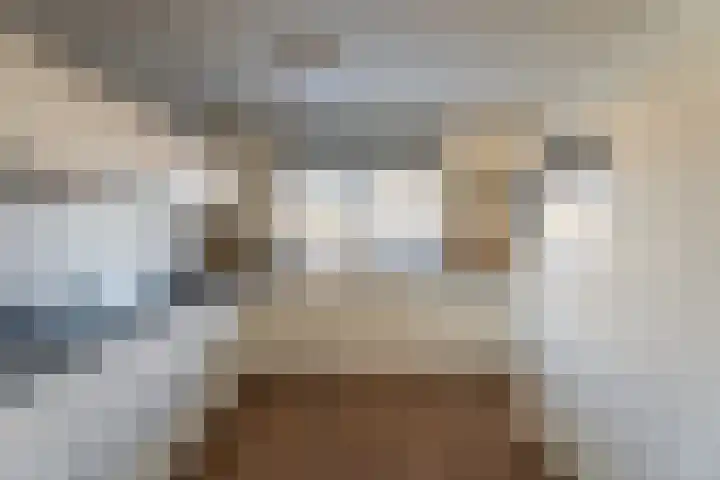 Morsebellaan 70 Oegstgeest thumbnail 9