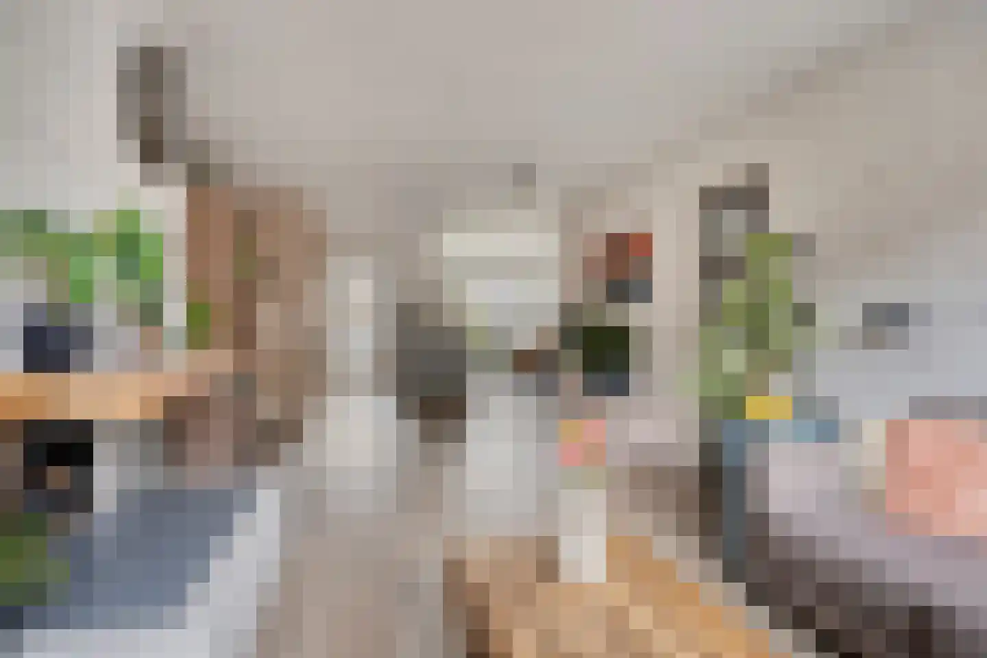 Morseltdijk 26 Borne thumbnail 13