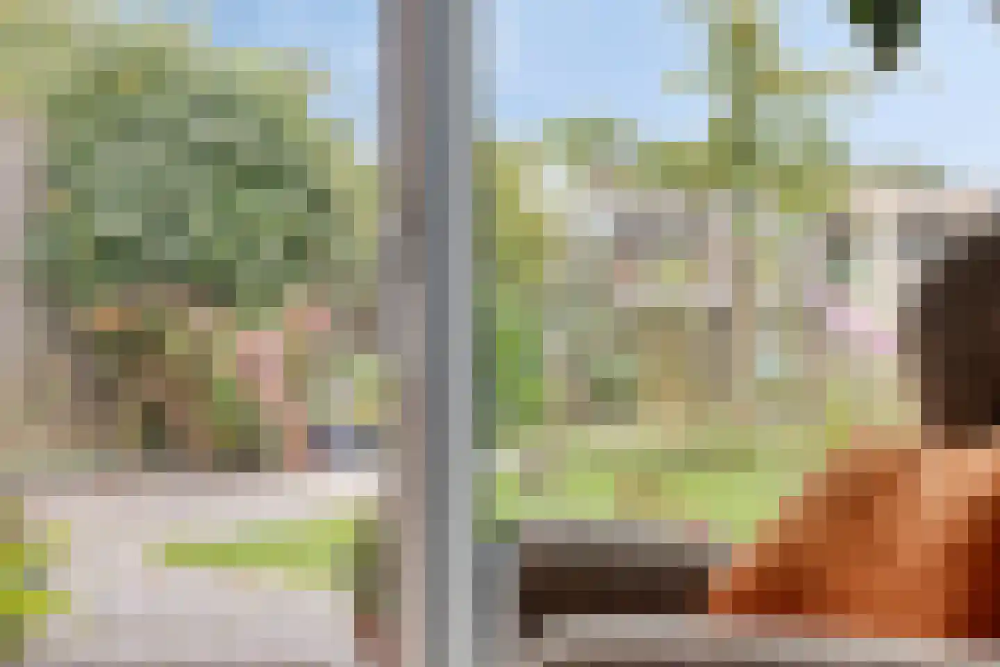 Morseltdijk 26 Borne thumbnail 16