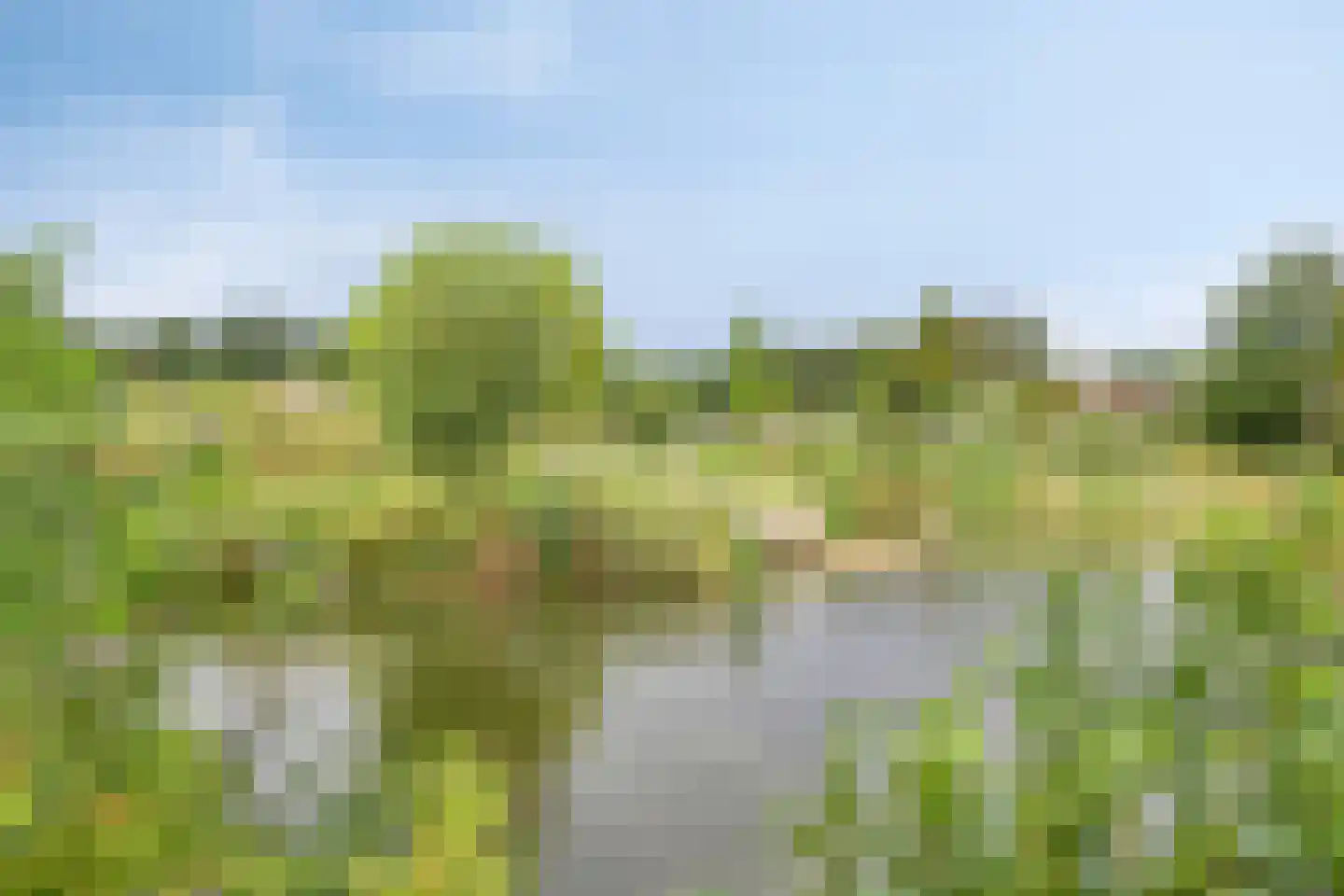 Morseltdijk 26 Borne thumbnail 41