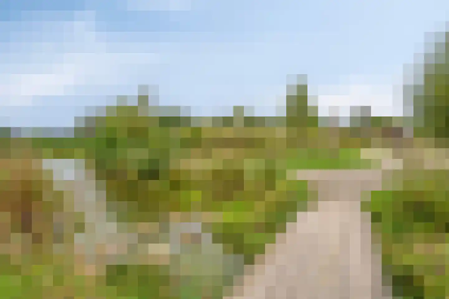 Morseltdijk 26 Borne thumbnail 42