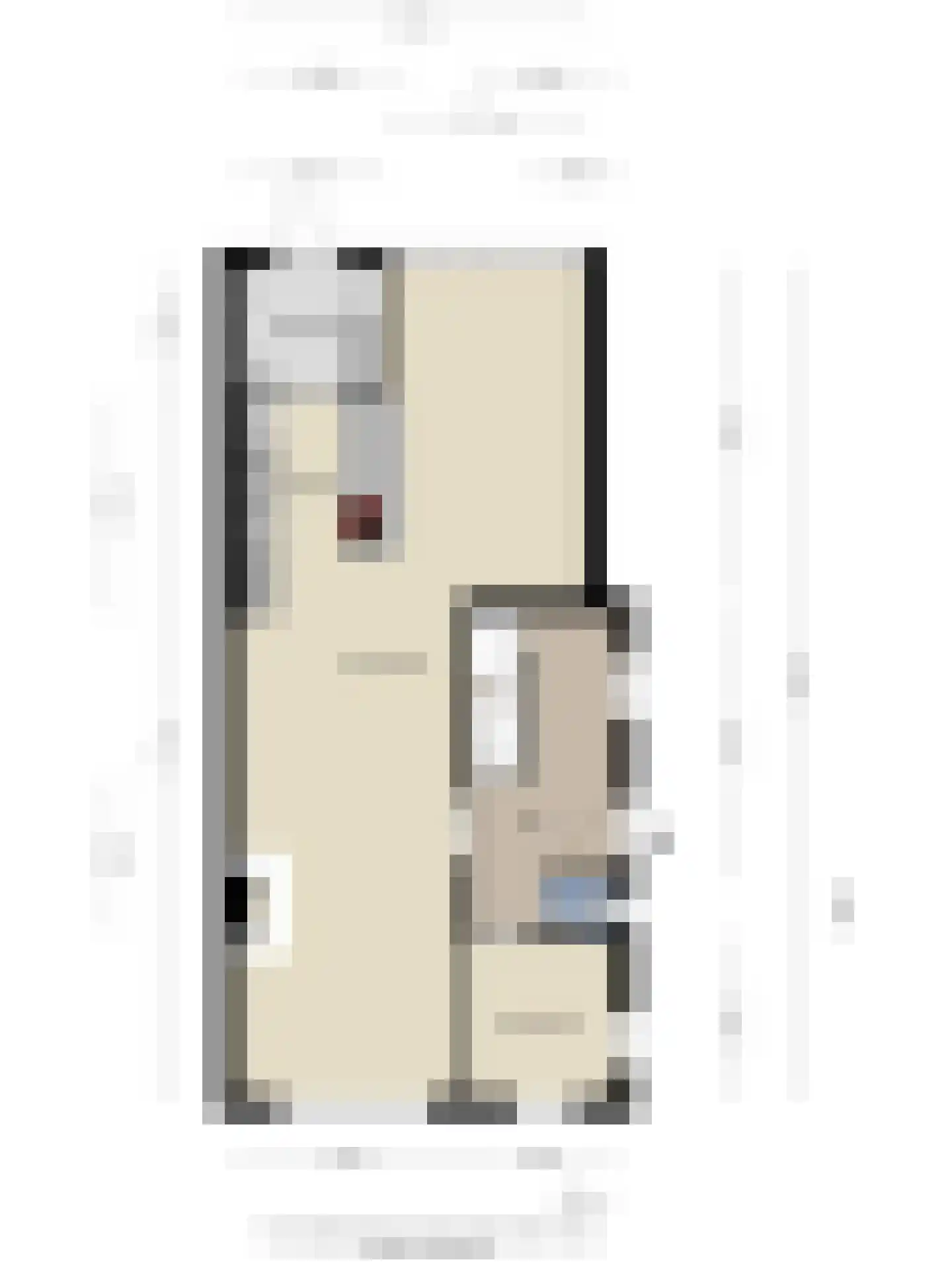 Morseltdijk 26 Borne thumbnail 43