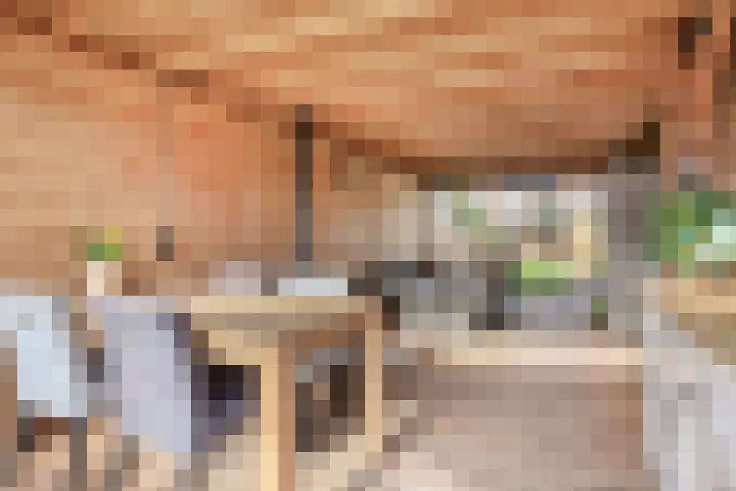 Morseltdijk 26 Borne thumbnail 6