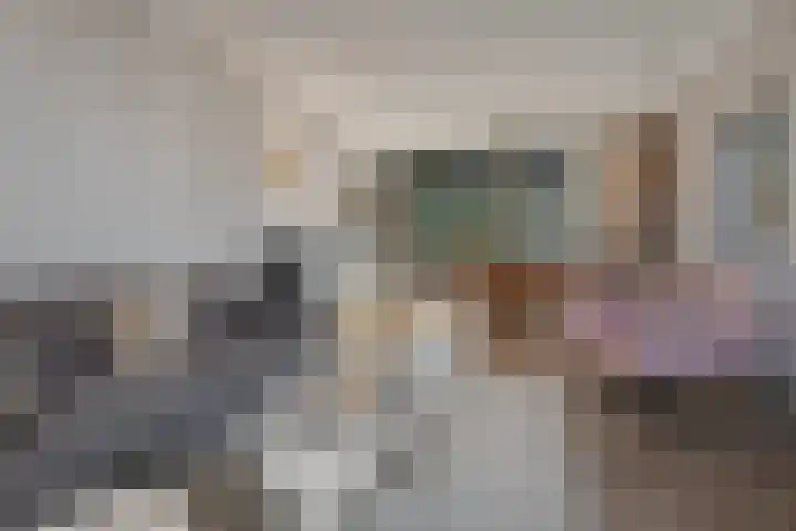 Morseltdijk 45 Borne thumbnail 11