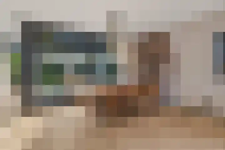 Morseltdijk 45 Borne thumbnail 12