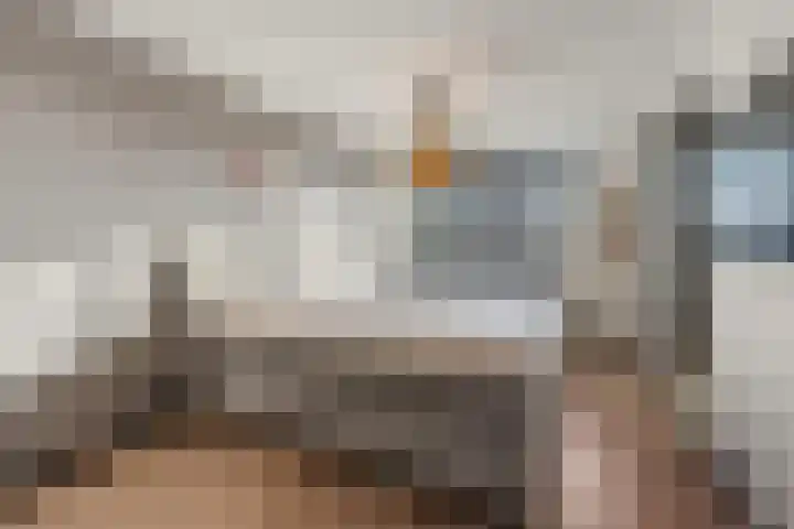 Morseltdijk 45 Borne thumbnail 16