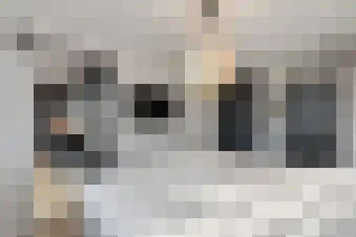 Morseltdijk 45 Borne thumbnail 17
