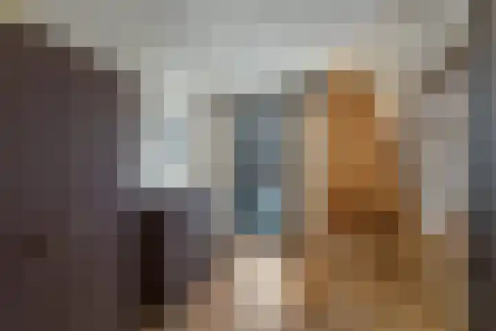 Morseltdijk 45 Borne thumbnail 20