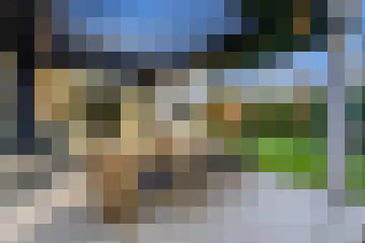Morseltdijk 45 Borne thumbnail 22