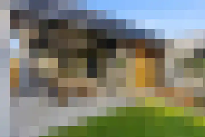 Morseltdijk 45 Borne thumbnail 23