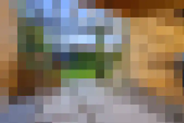 Morseltdijk 45 Borne thumbnail 25
