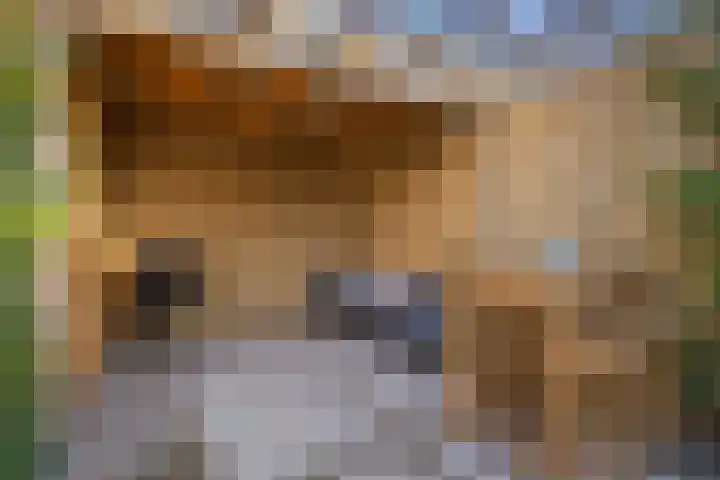 Morseltdijk 45 Borne thumbnail 26
