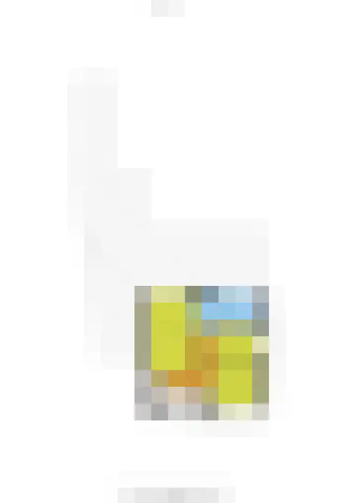 Morseltdijk 45 Borne thumbnail 29