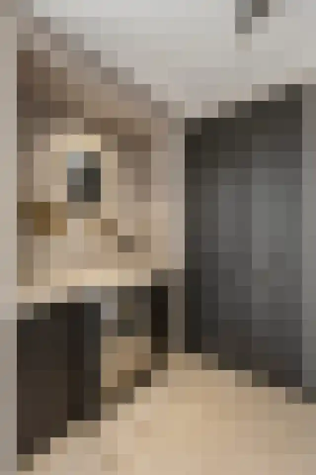 Morseltdijk 45 Borne thumbnail 4